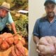 Agricultor capixaba colhe batata-doce gigante e atribui resultado ao calendário lunar