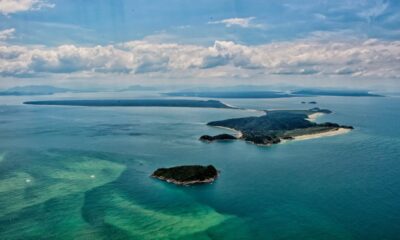 Indenização ambiental da Petrobras impulsiona conservação no Paraná com centenas de milhões