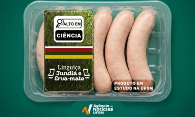 Pesquisa universitária aposta em peixe nativo e erva-mate para criar novo embutido brasileiro