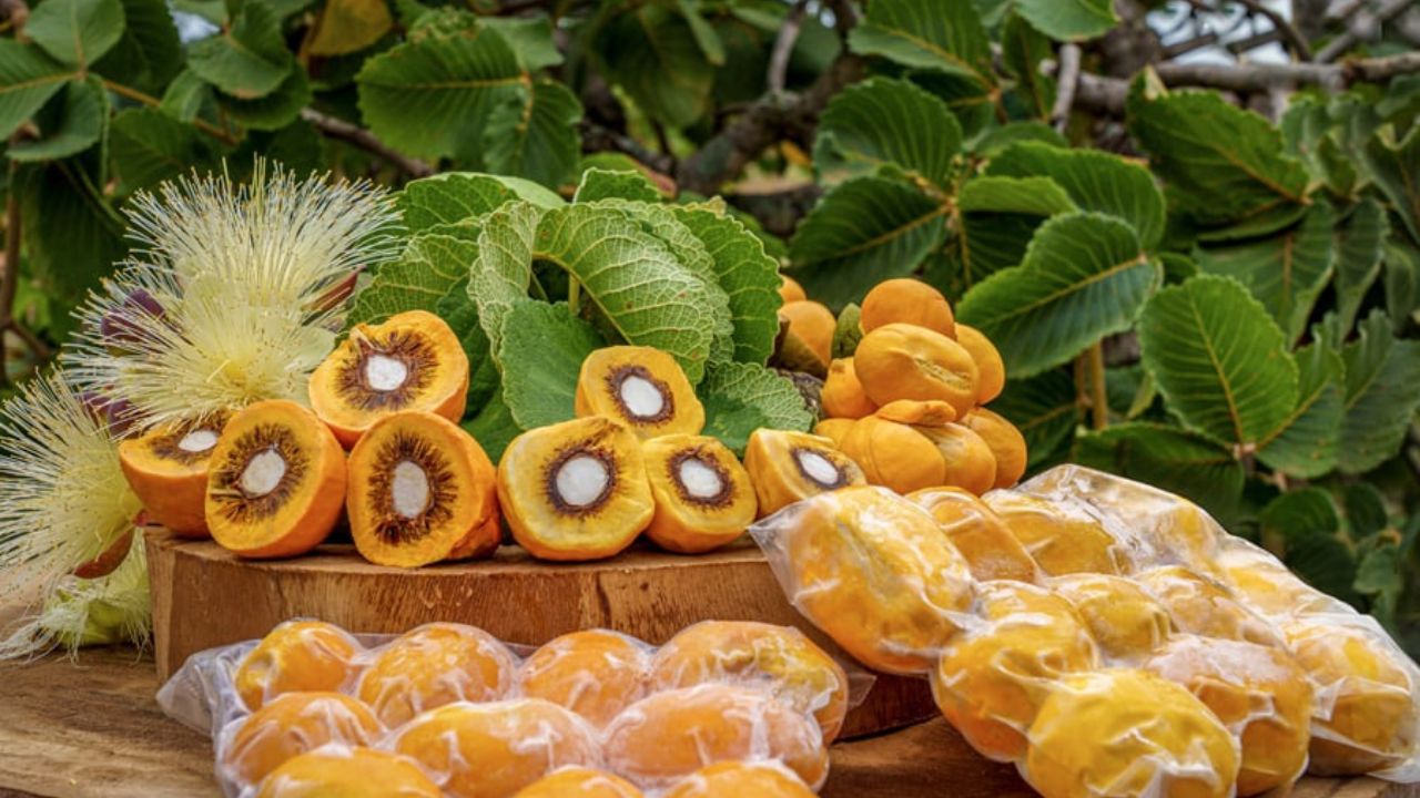 Frutas do Cerrado viram aliadas da indústria de probióticos em alimentos não lácteos