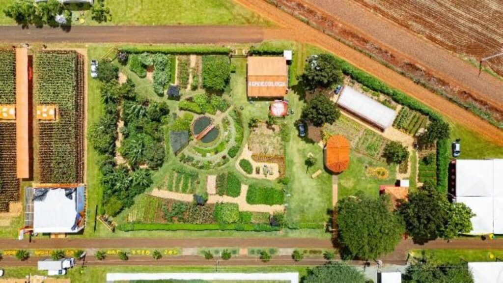 Embrapa apresenta tomates e pimentas com foco em renda e resistência no Show Rural Coopavel