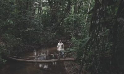 Alimentos alternativos ganham escala no Brasil e redesenham o futuro do agro