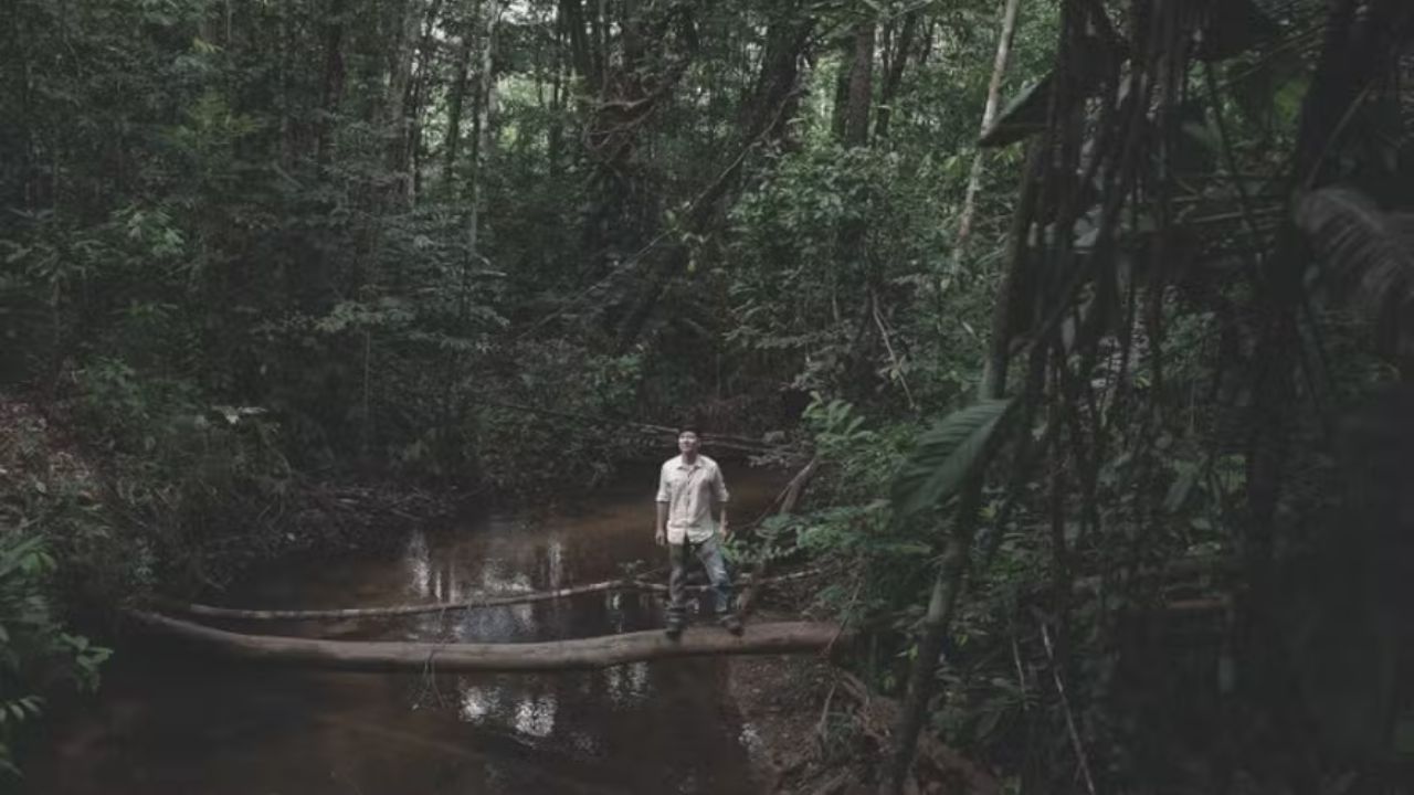 Alimentos alternativos ganham escala no Brasil e redesenham o futuro do agro