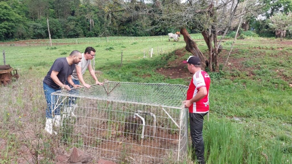 Após as enchentes, qualidade da água em poços rurais do RS preocupa