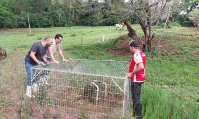 Após as enchentes, qualidade da água em poços rurais do RS preocupa