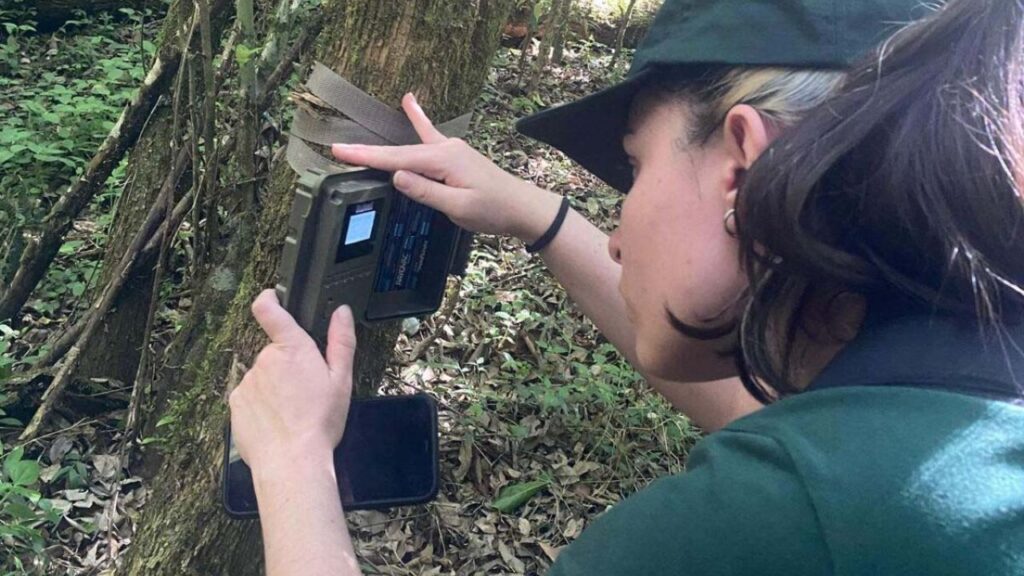 Estudo acadêmico mapeia mamíferos silvestres em áreas protegidas do Paraná