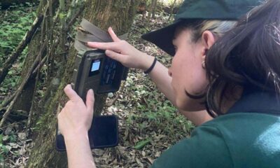 Estudo acadêmico mapeia mamíferos silvestres em áreas protegidas do Paraná