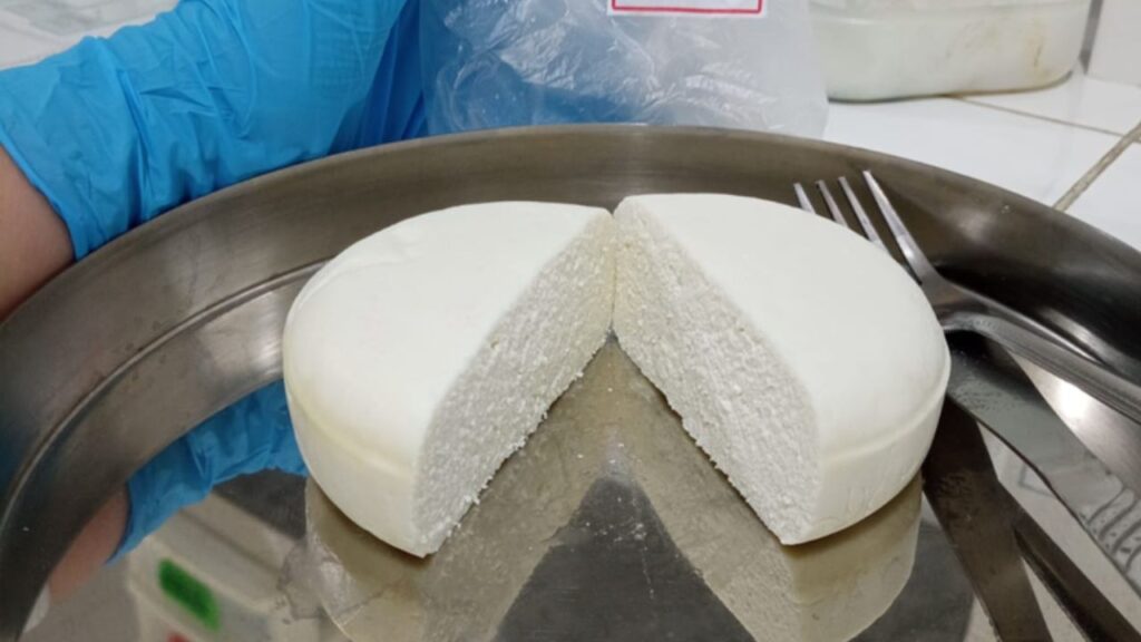 Leite caprino da Caatinga entra na era das Ciências Ômicas