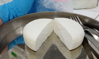 Leite caprino da Caatinga entra na era das Ciências Ômicas