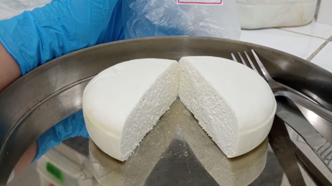 Leite caprino da Caatinga entra na era das Ciências Ômicas