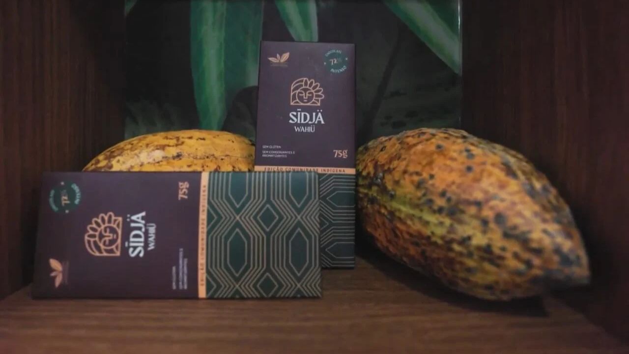 Cacau amazônico vira referência mundial de sustentabilidade com chocolate indígena do Xingu