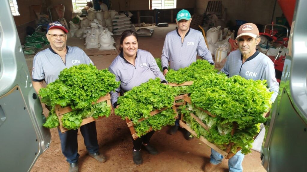 CRN completa 36 anos como motor de inovação agropecuária no Noroeste do Paraná