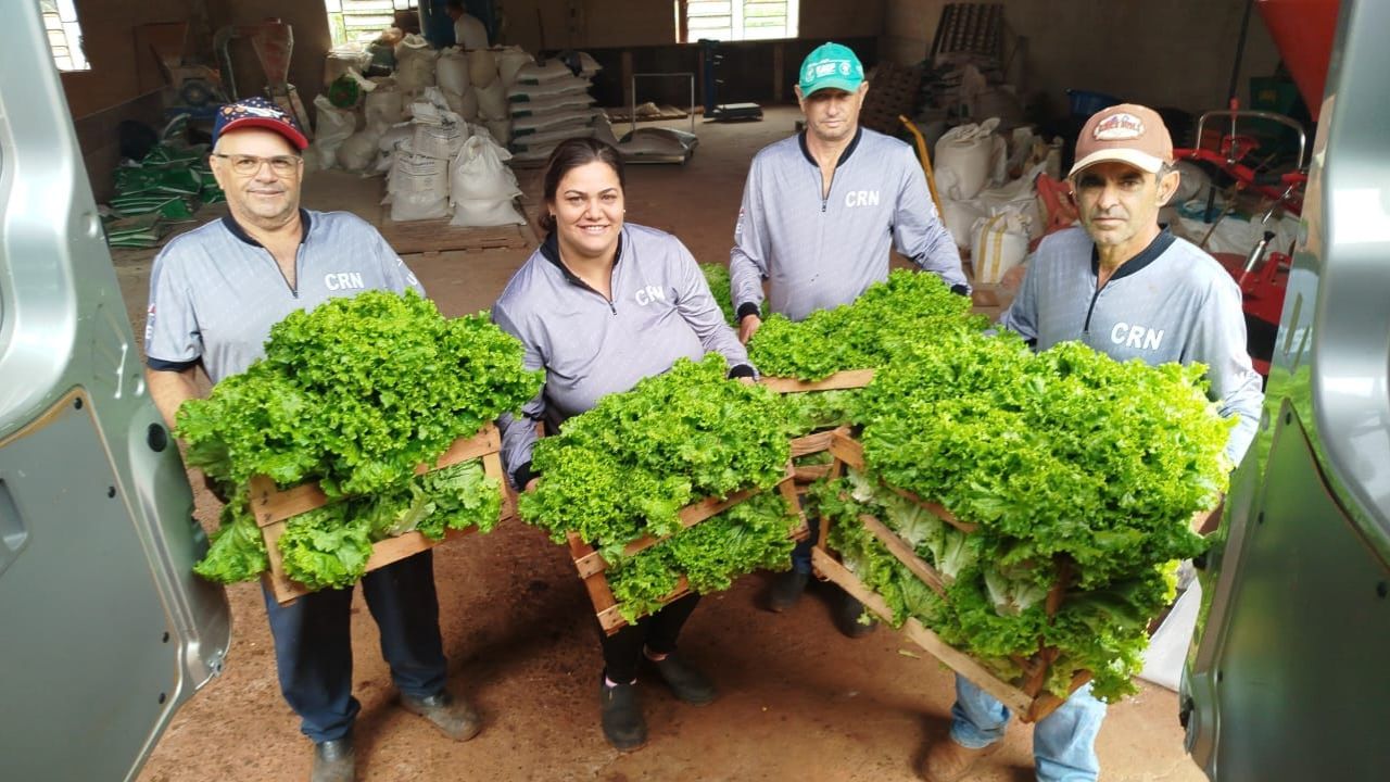 CRN completa 36 anos como motor de inovação agropecuária no Noroeste do Paraná