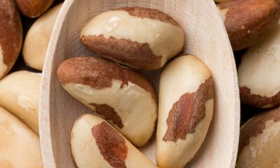 Castanha-do-Brasil amplia exportações e entra no mercado da Turquia