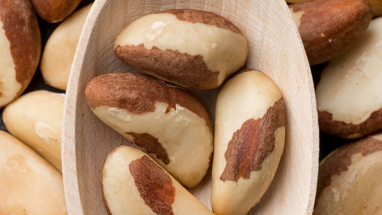 Castanha-do-Brasil amplia exportações e entra no mercado da Turquia