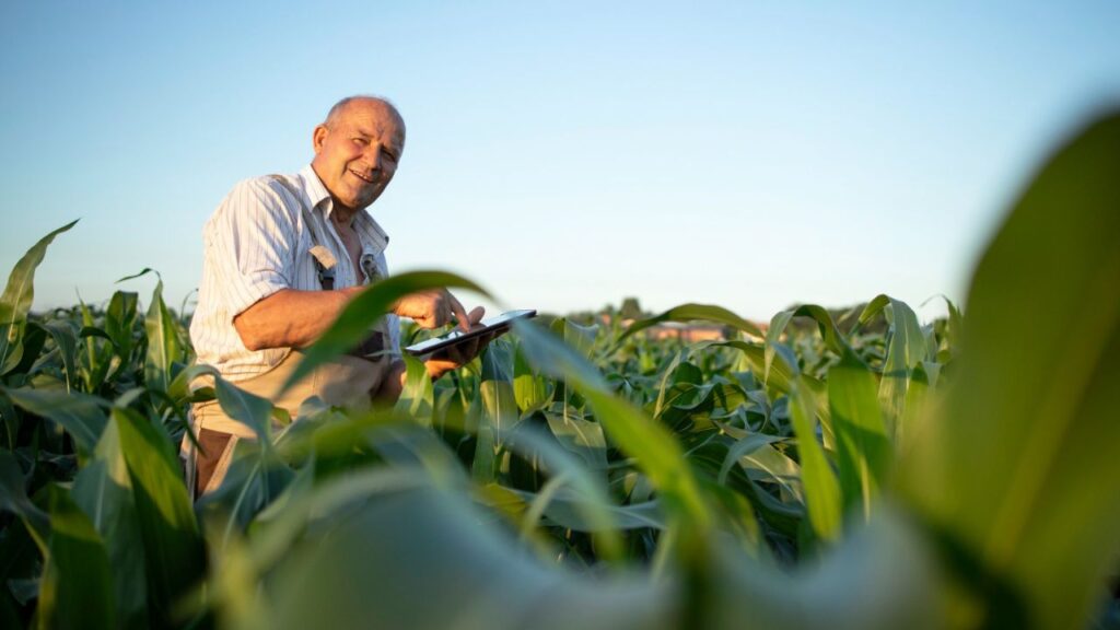 Copel Agro: distribuidora lança programa exclusivo para produtores eletrointensivos com atendimento 24h e equipes dedicadas no Paraná