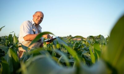 E-agro acelera expansão e mira crescimento de 30% no crédito rural em 2026