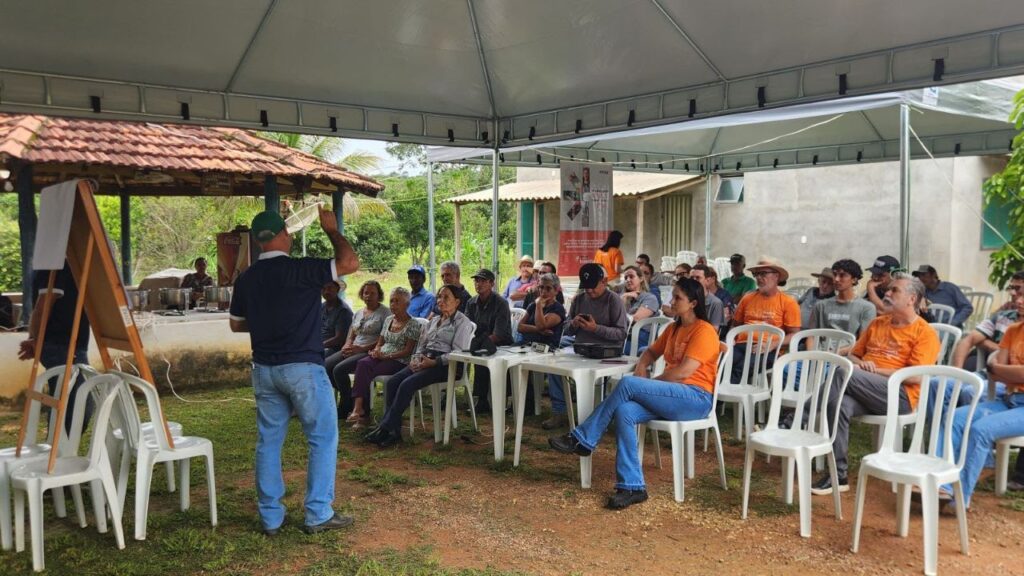 Dia de campo apresenta estratégias para aumentar a produtividade do milho para silagem e a tolerância aos veranicos no noroeste mineiro