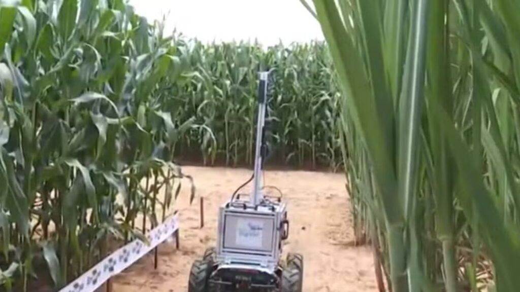 Coplacampo 2025: o robô que lê o pomar e o protetor solar que salva a fruta antes da colheita