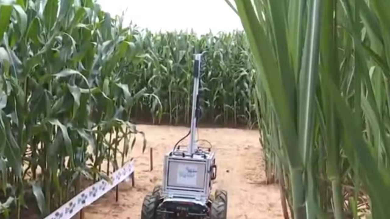 Coplacampo 2025: o robô que lê o pomar e o protetor solar que salva a fruta antes da colheita