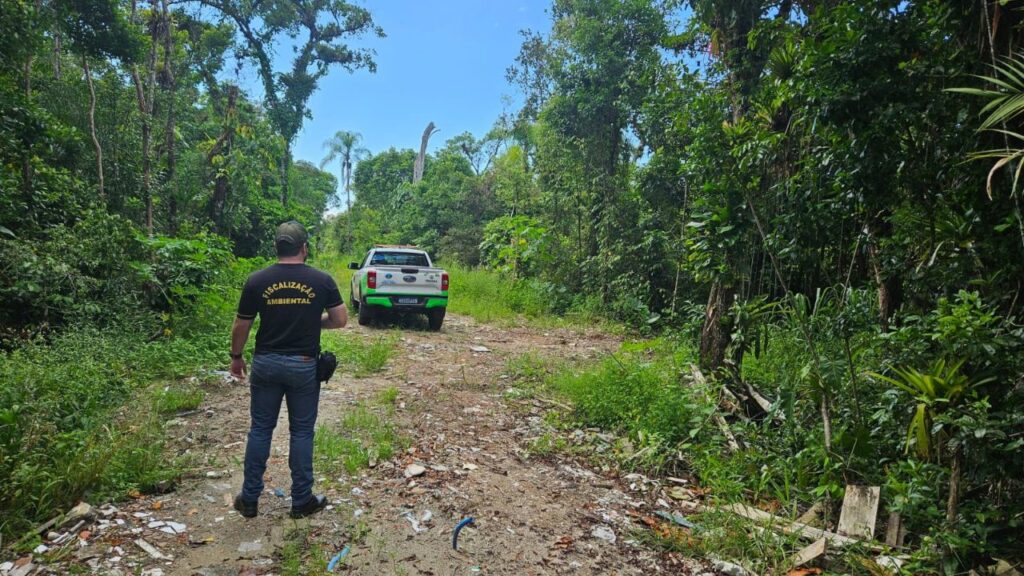 IAT lança plataforma exclusiva para denúncias de crimes ambientais no Paraná