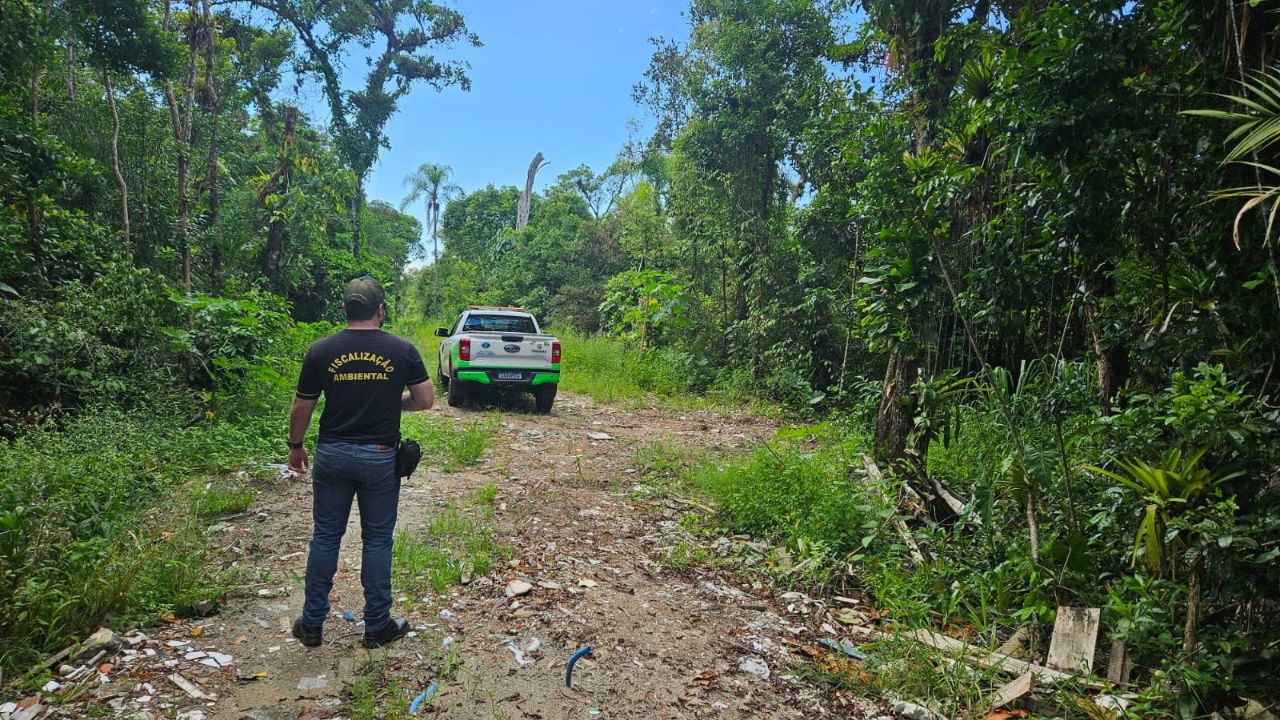 IAT lança plataforma exclusiva para denúncias de crimes ambientais no Paraná