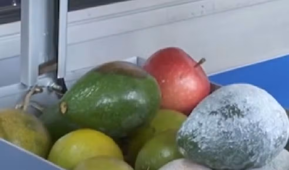 Coplacampo 2025: o robô que lê o pomar e o protetor solar que salva a fruta antes da colheita