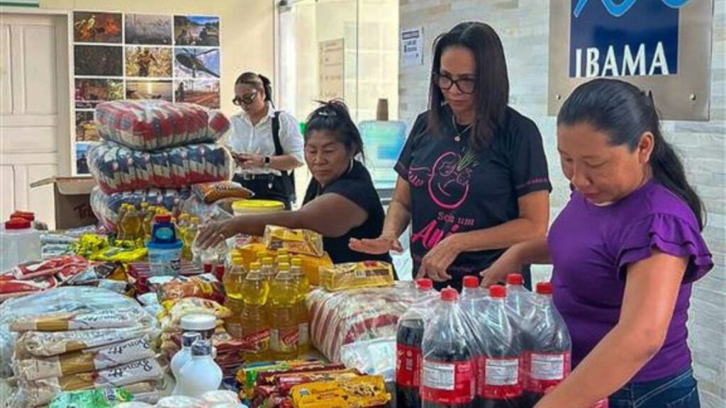 Ibama intercepta avião do garimpo ilegal e redistribui 400 kg de alimentos em Roraima
