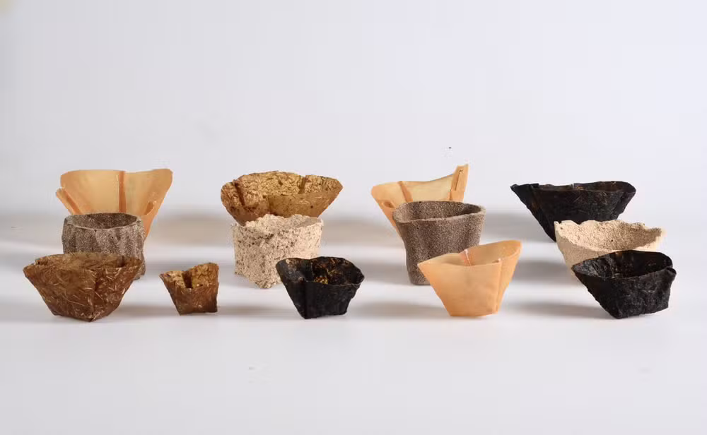 Vasos biodegradáveis eliminam plástico com matéria-prima que sairia do lixo