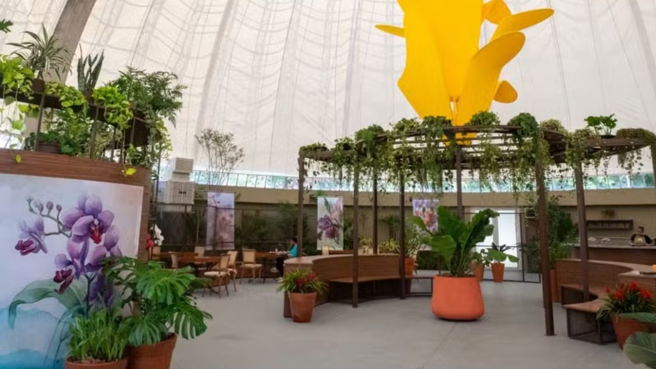 Parque Villa-Lobos ganha novo fôlego com reabertura do Orquidário Ruth Cardoso