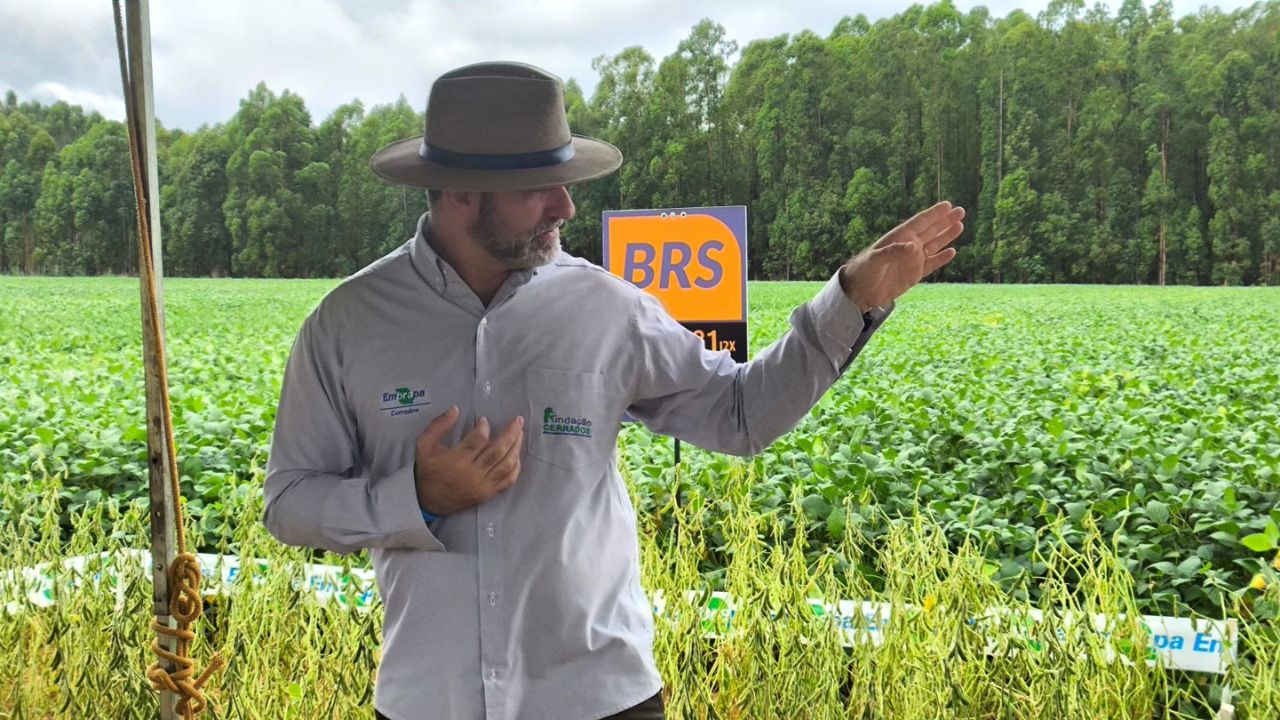 Embrapa apresenta variedades de soja de alto rendimento no Dia de Campo da Competição de Cultivares