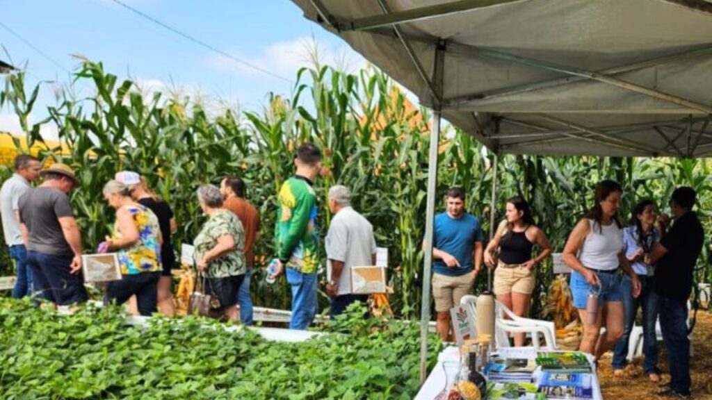 Itaipu Rural Show 2025: Epagri aposta em tecnologia aplicada e agricultura familiar no maior show do Sul