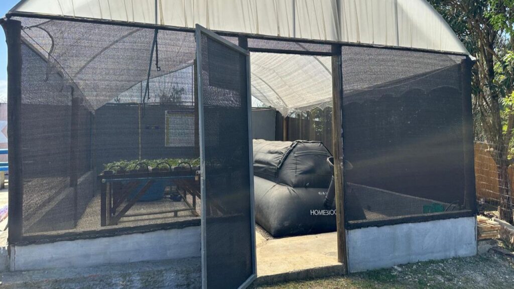 Biodigestor escolar fecha o ciclo sustentável e fortalece ensino técnico em escola da Região Metropolitana de Curitiba