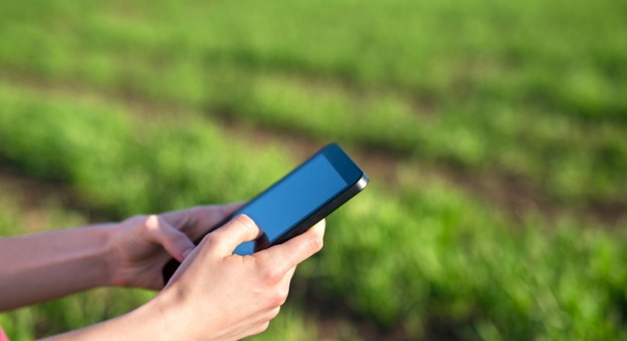 Sensores, IA e dados em tempo real: como a tecnologia já reduz em 25% o uso de fertilizantes no campo