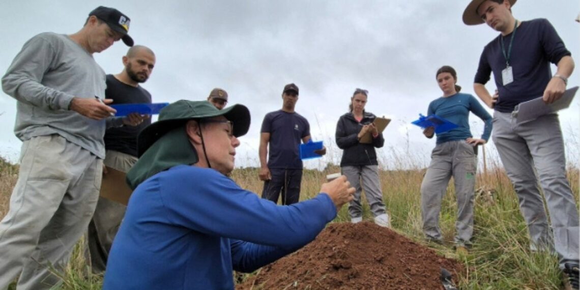 Fotos: Pablo Gomes/Epagri