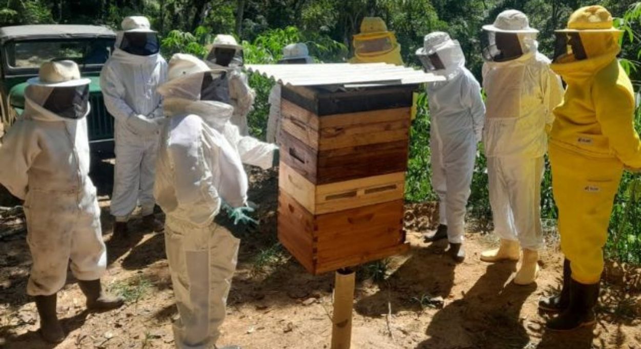 Foto: Divulgação / Epagri