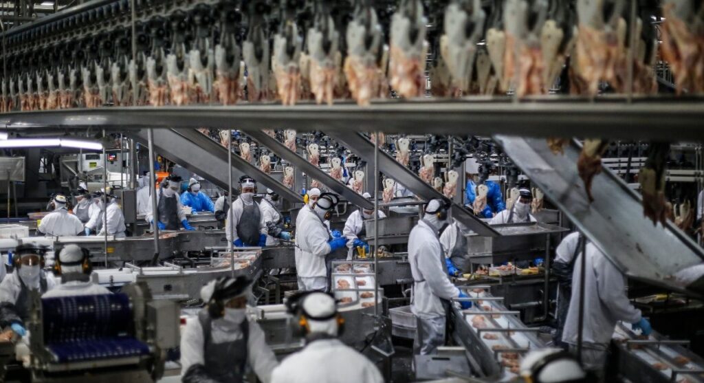 Frango paranaense chega a 150 mercados e consolida o Paraná como maior exportador de aves do Brasil