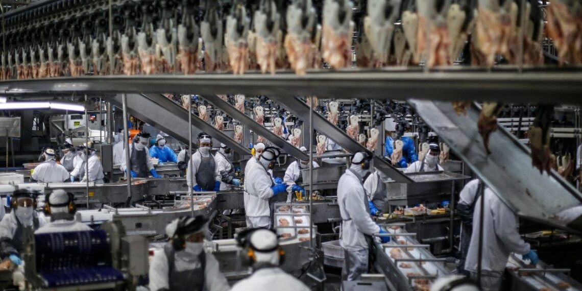 Foto: Jonathan Campos/AEN