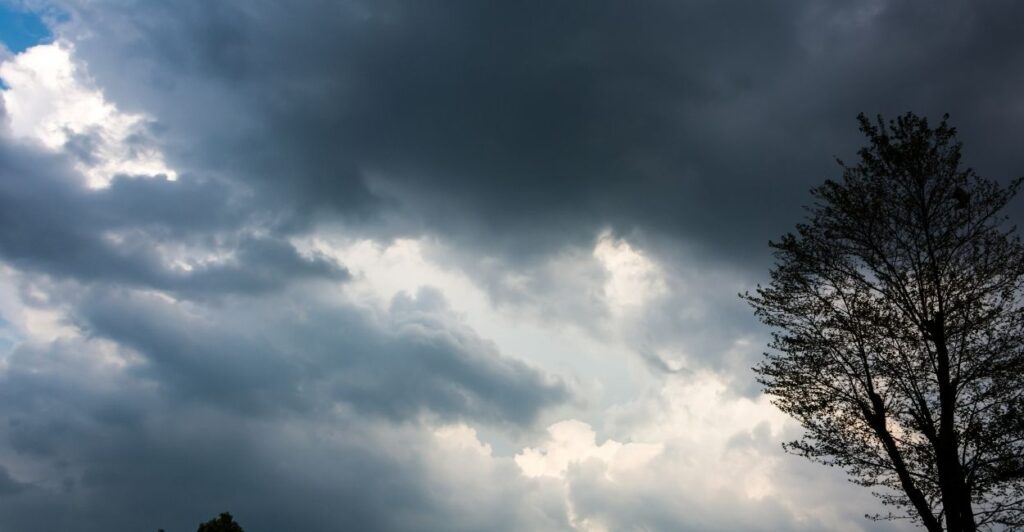 Conab aponta predomínio de chuvas no Centro-Norte e restrição hídrica no Sul em fevereiro