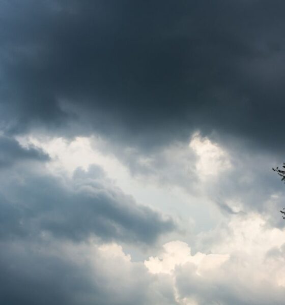 Conab aponta predomínio de chuvas no Centro-Norte e restrição hídrica no Sul em fevereiro