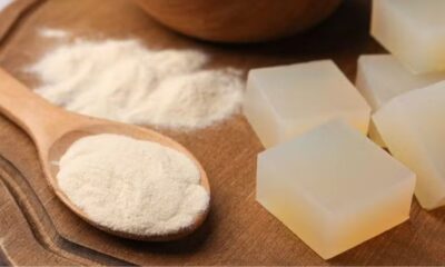 UE aceita certificação brasileira para gelatina e colágeno sem auditoria por unidade