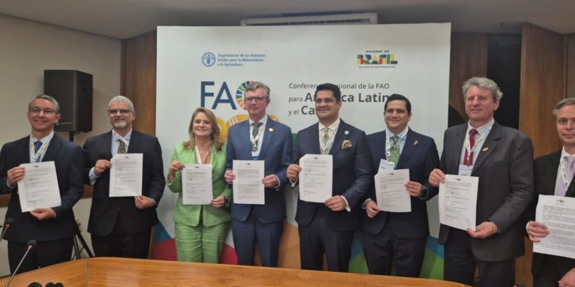 Foto: Maria Clara Guaraldo