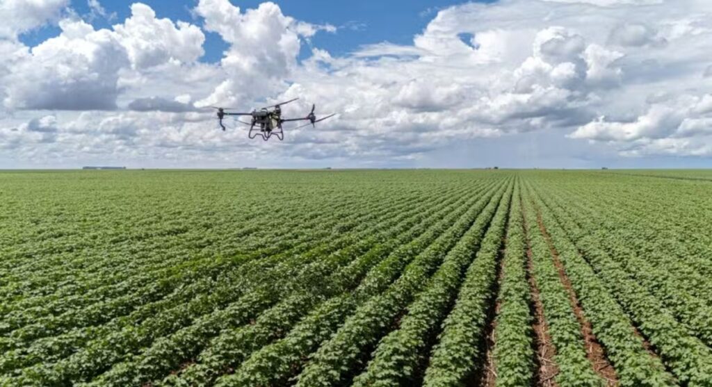 IA no agro: como a tecnologia já monitora pragas, gado e preços em 41,9% das fazendas brasileiras