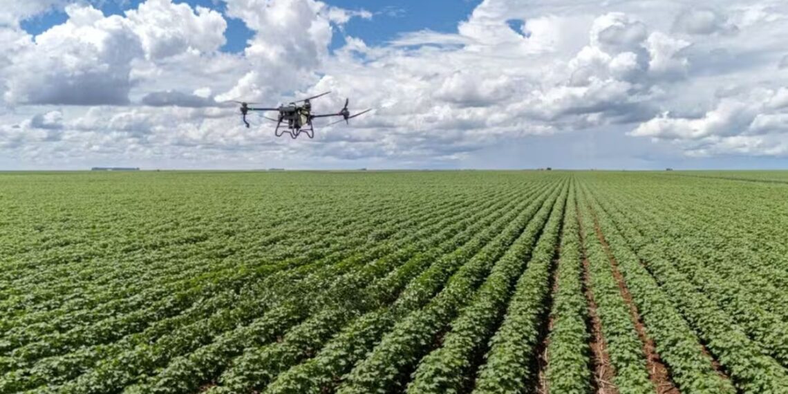 IA no agro: como a tecnologia já monitora pragas, gado e preços em 41,9% das fazendas brasileiras