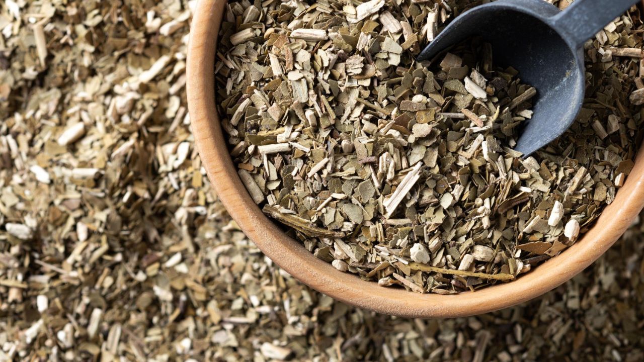 Paraná estrutura rastreabilidade e marca territorial para dobrar valor da erva-mate sombreada