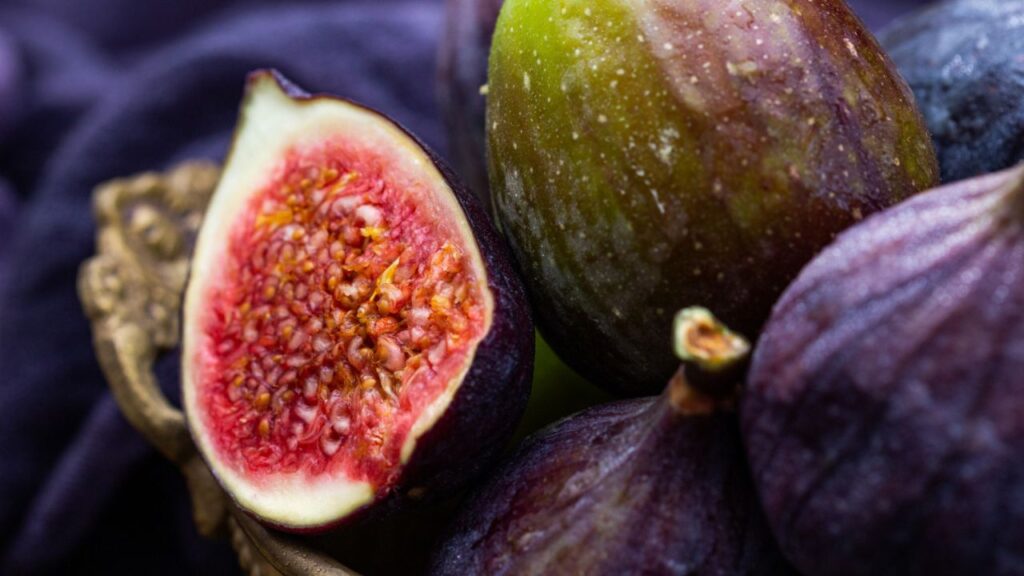 Produção de figo cresce em Itapetininga e mostra rentabilidade em pequenas áreas