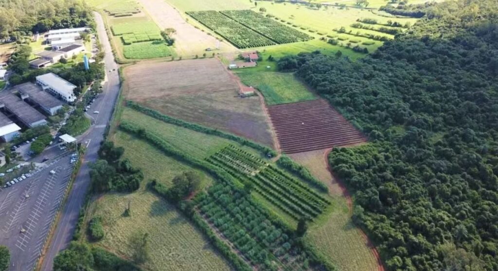 AgNest Farm Lab ganha Senar no conselho gestor e acelera testes de startups na safra de inverno