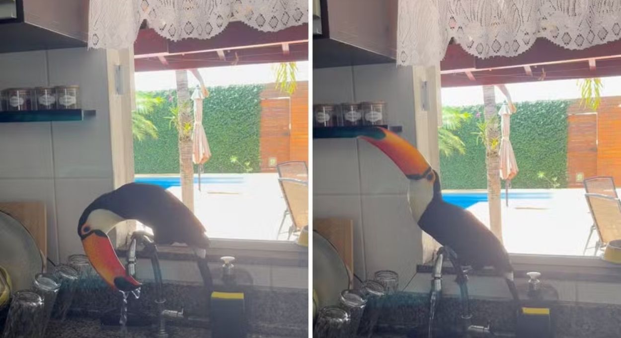 Foto: Instagram/@fermamedevidal/Reprodução