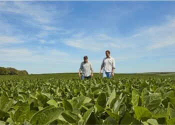 Imagem: Divulgação BASF