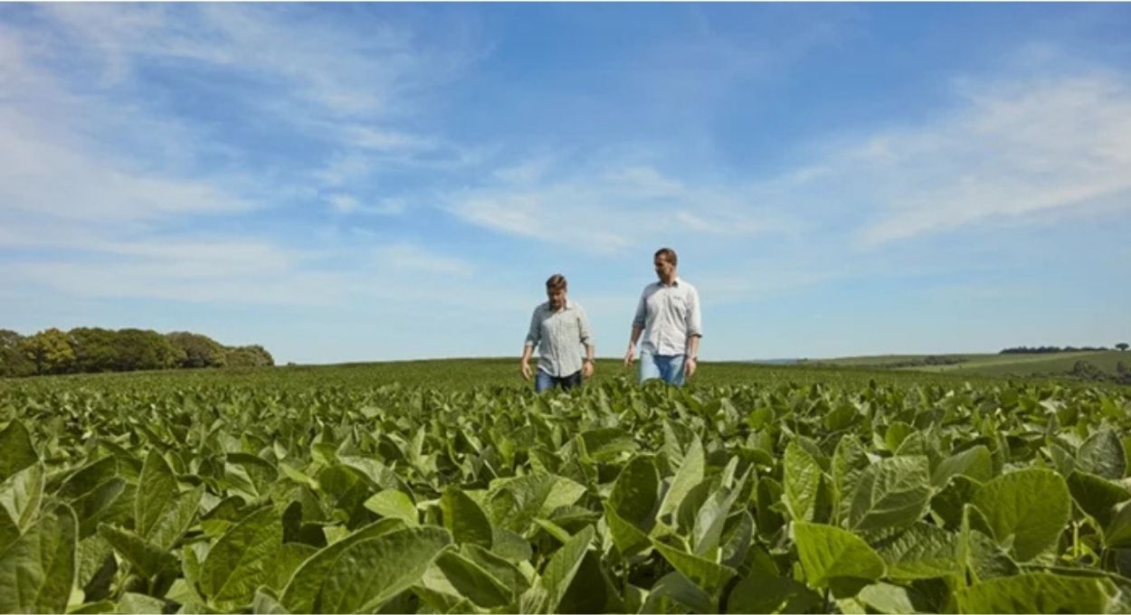 Imagem: Divulgação BASF